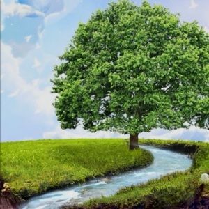 Meet your Posher, Fawaz